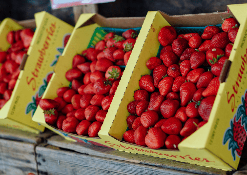 Homepage Section Photos Home