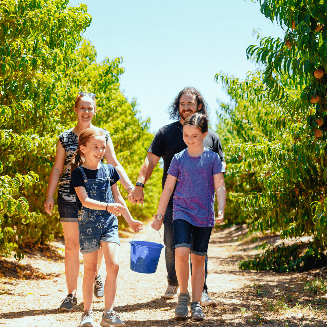 Your Ultimate Guide to Starting Summer Right in Stanislaus County!