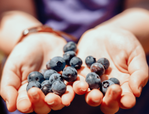 Your Ultimate Guide to Starting Summer Right in Stanislaus County!