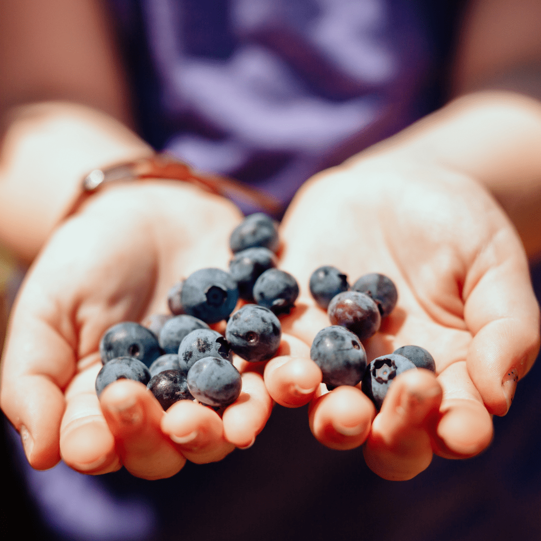 Your Ultimate Guide to Starting Summer Right in Stanislaus County! Your Ultimate Guide to Starting Summer Right in Stanislaus County!