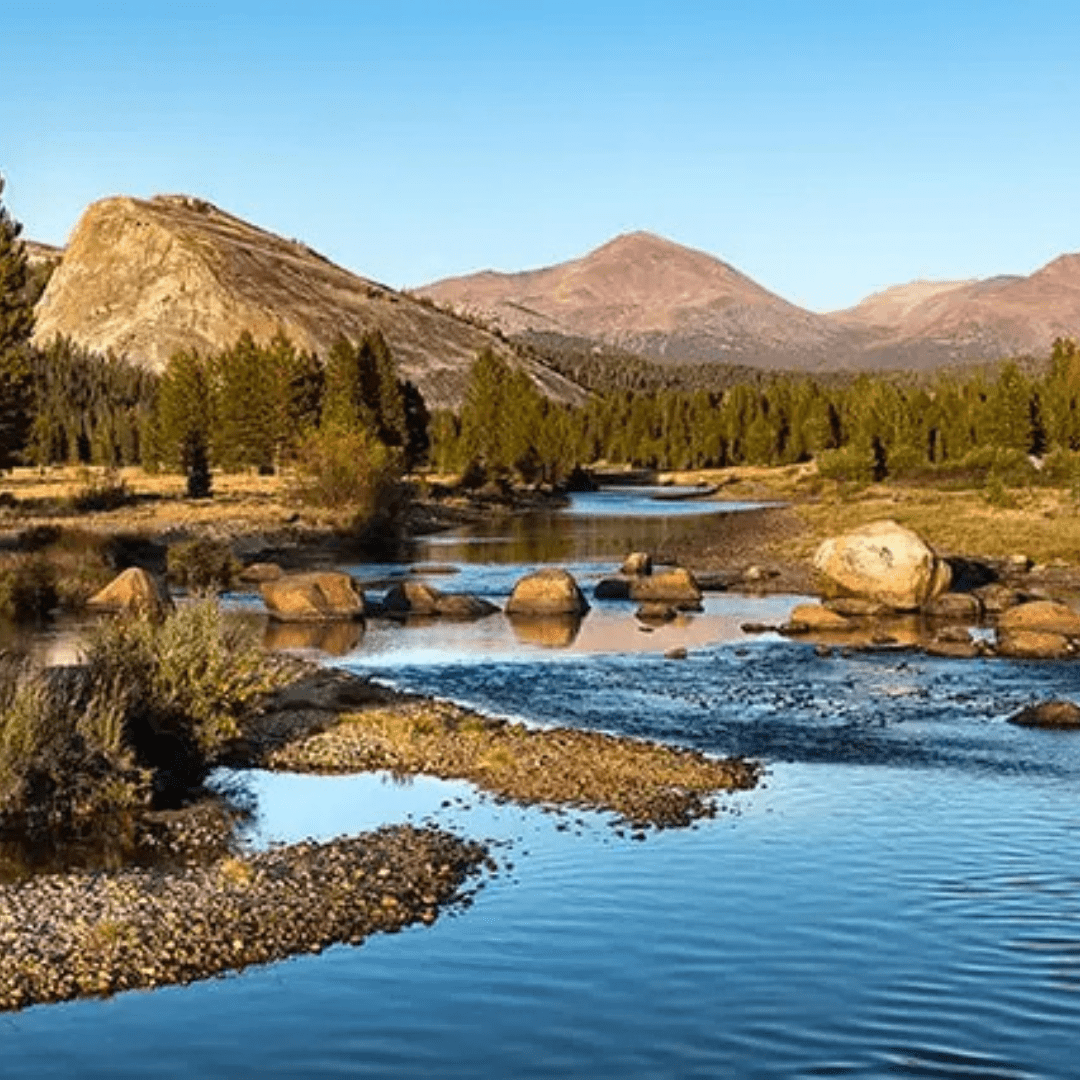 Summer Day Trip Idea: A Drive Into Yosemite