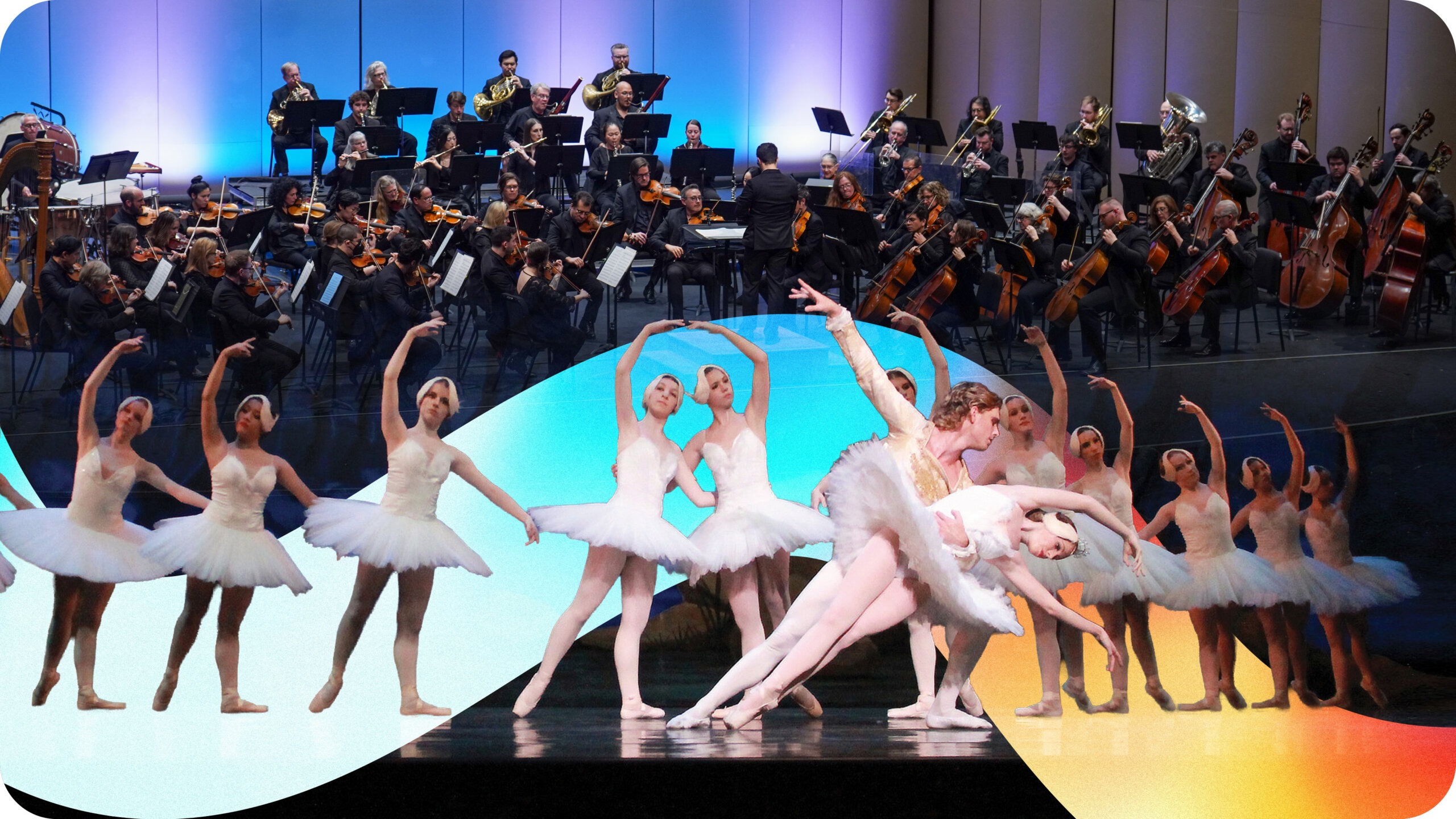 MSO & CWB presents Swan Lake