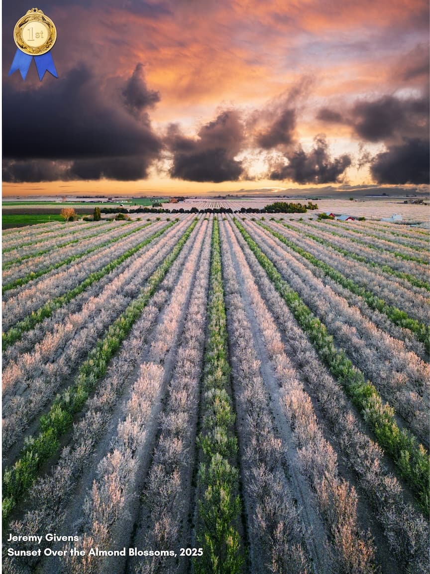 Jeremy Givens Sunset Over the Almond Blossoms