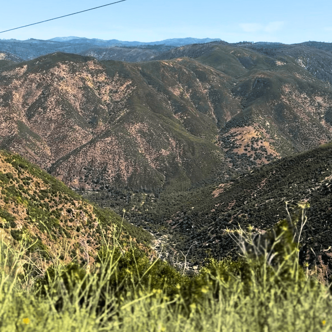 Summer Day Trip Idea: A Drive Into Yosemite