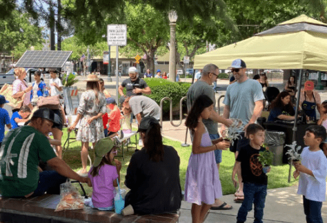 Almond Blossom Cruise Arts & Entertainment Almond Blossom Cruise Arts & Entertainment
