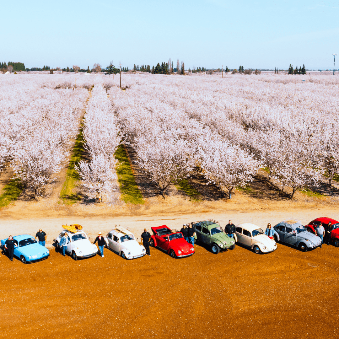 Almond Blossom Cruise