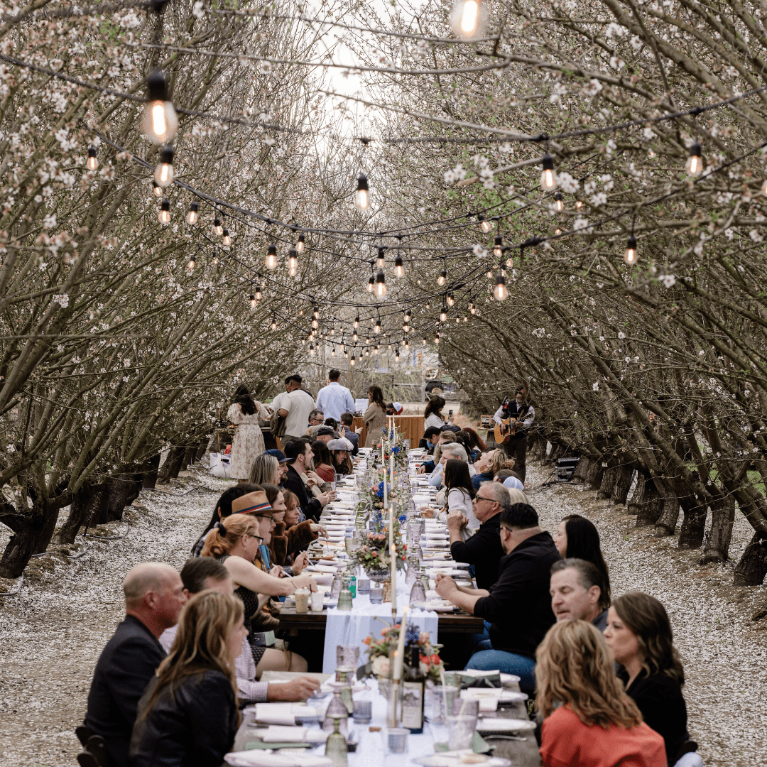 Almond Blossom Cruise