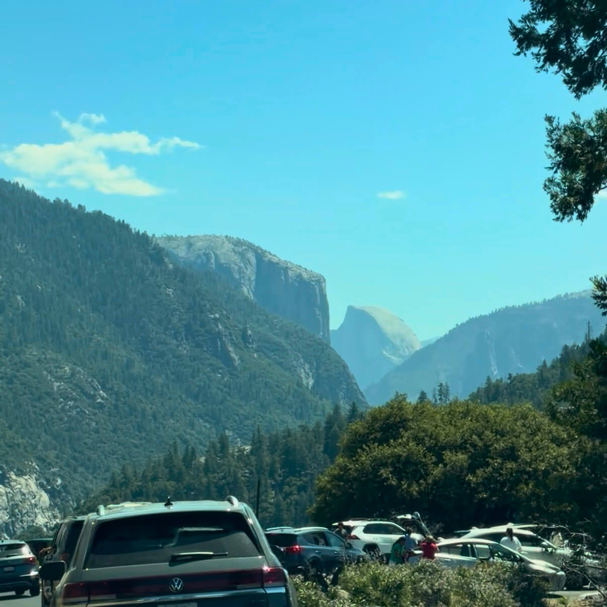 Yosemite Insider Tips: Things to Expect while in the Park Yosemite Insider Tips: Things to Expect while in the Park