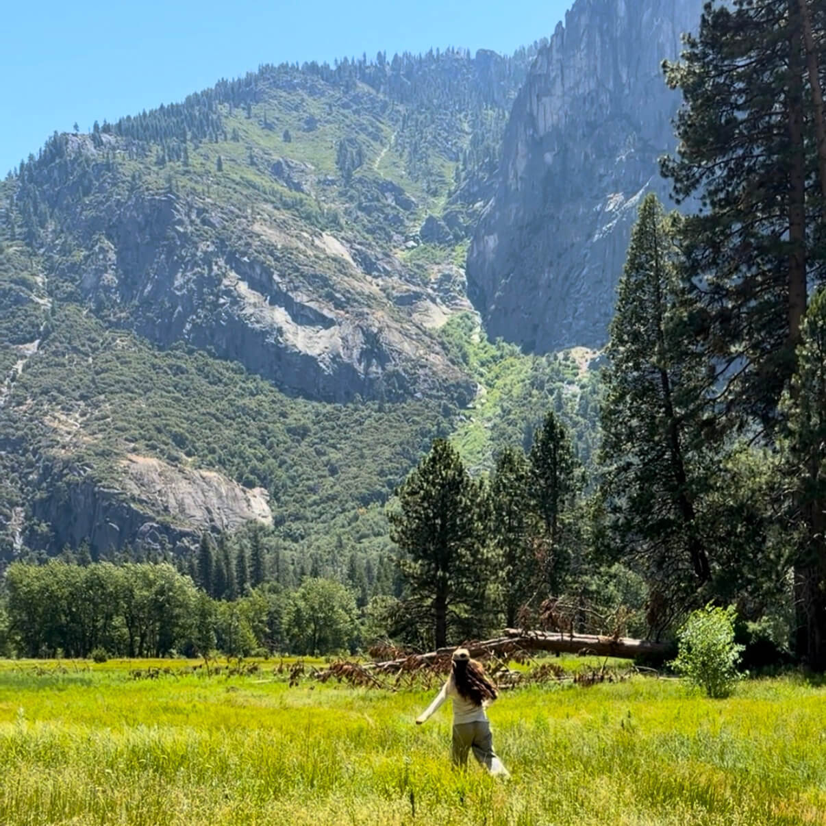 5 Reasons Why Gen Z Should Visit Yosemite National Park