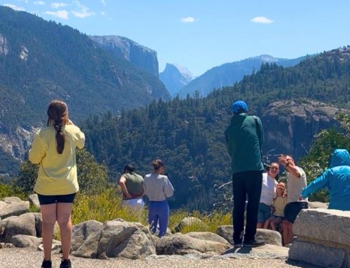 Yosemite Insider Tips: Things to Expect while in the Park