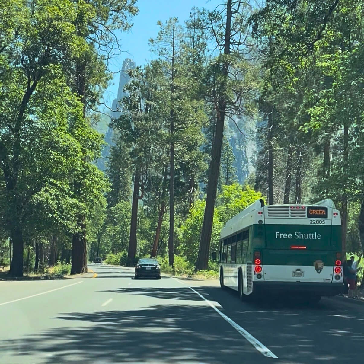5 Reasons Why Gen Z Should Visit Yosemite National Park 5 Reasons Why Gen Z Should Visit Yosemite National Park