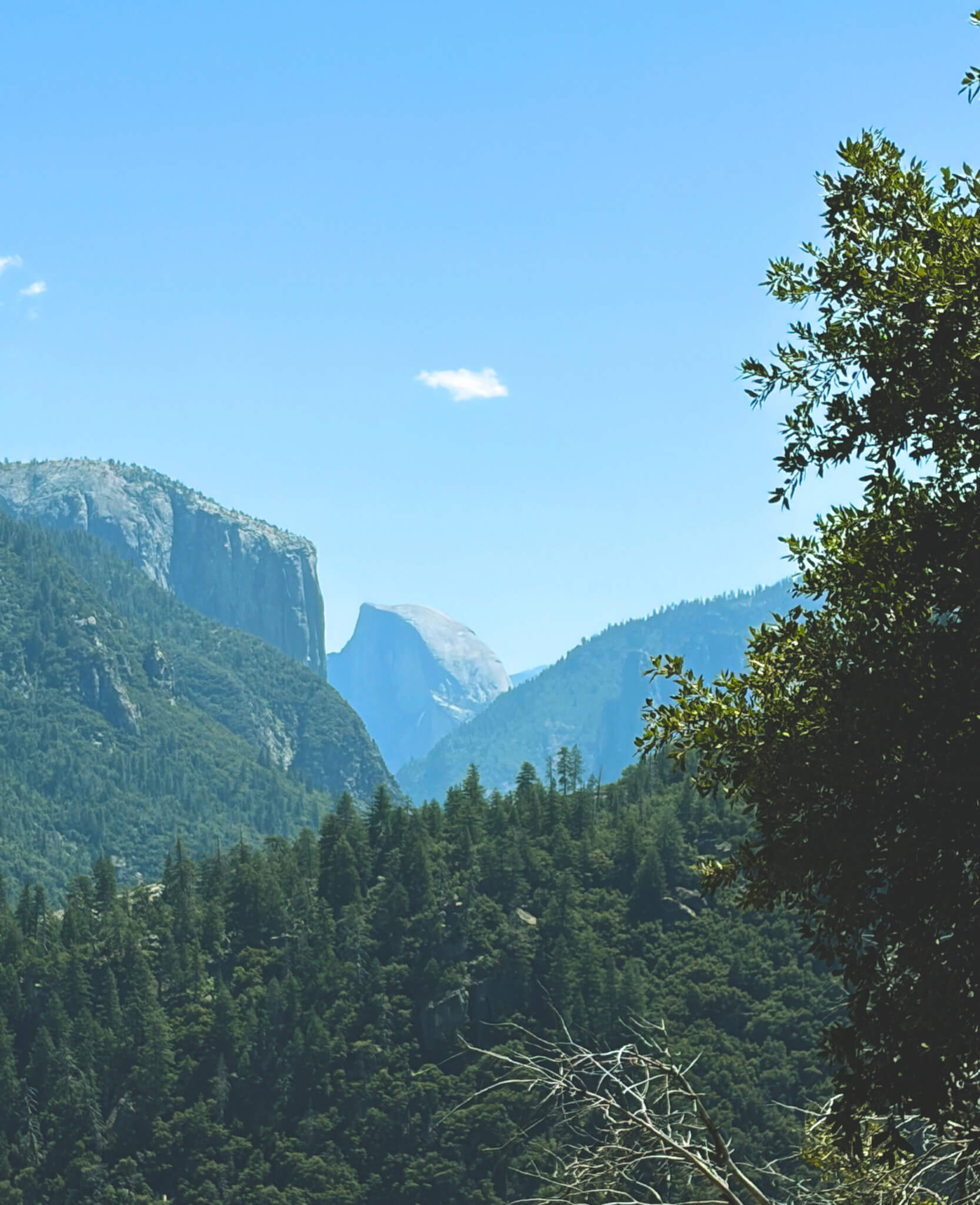 5 Reasons Why Gen Z Should Visit Yosemite National Park 5 Reasons Why Gen Z Should Visit Yosemite National Park