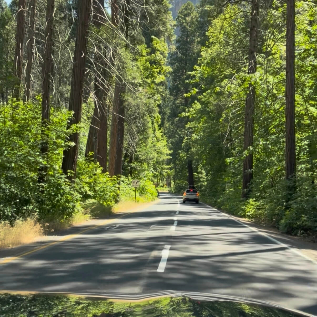 5 Reasons Why Gen Z Should Visit Yosemite National Park 5 Reasons Why Gen Z Should Visit Yosemite National Park