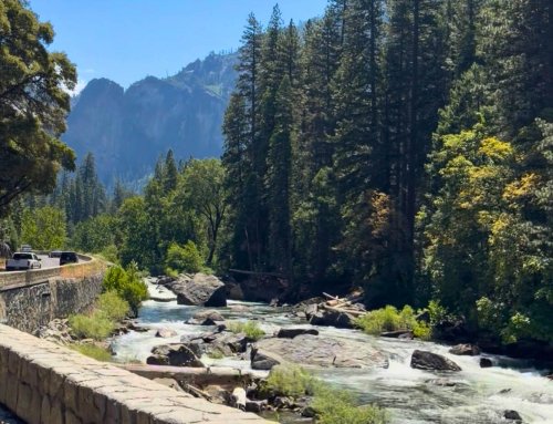 Yosemite: Do’s and Don’ts for this 1-Day Trip