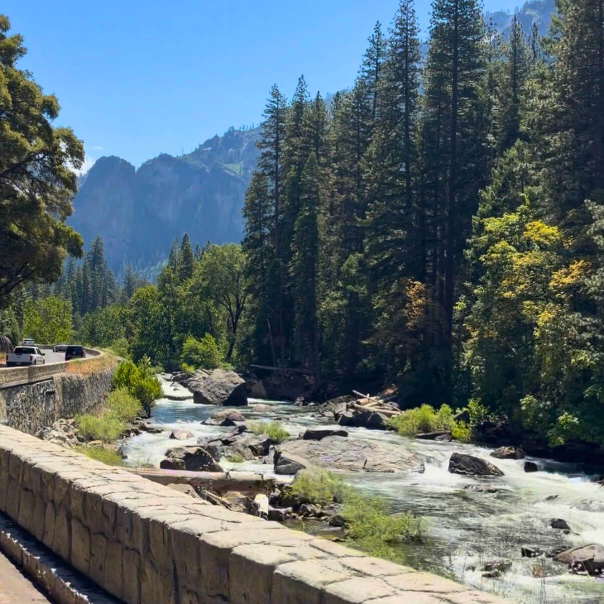 Yosemite: Do's and Don'ts for this 1-Day Trip Yosemite: Do's and Don'ts for this 1-Day Trip