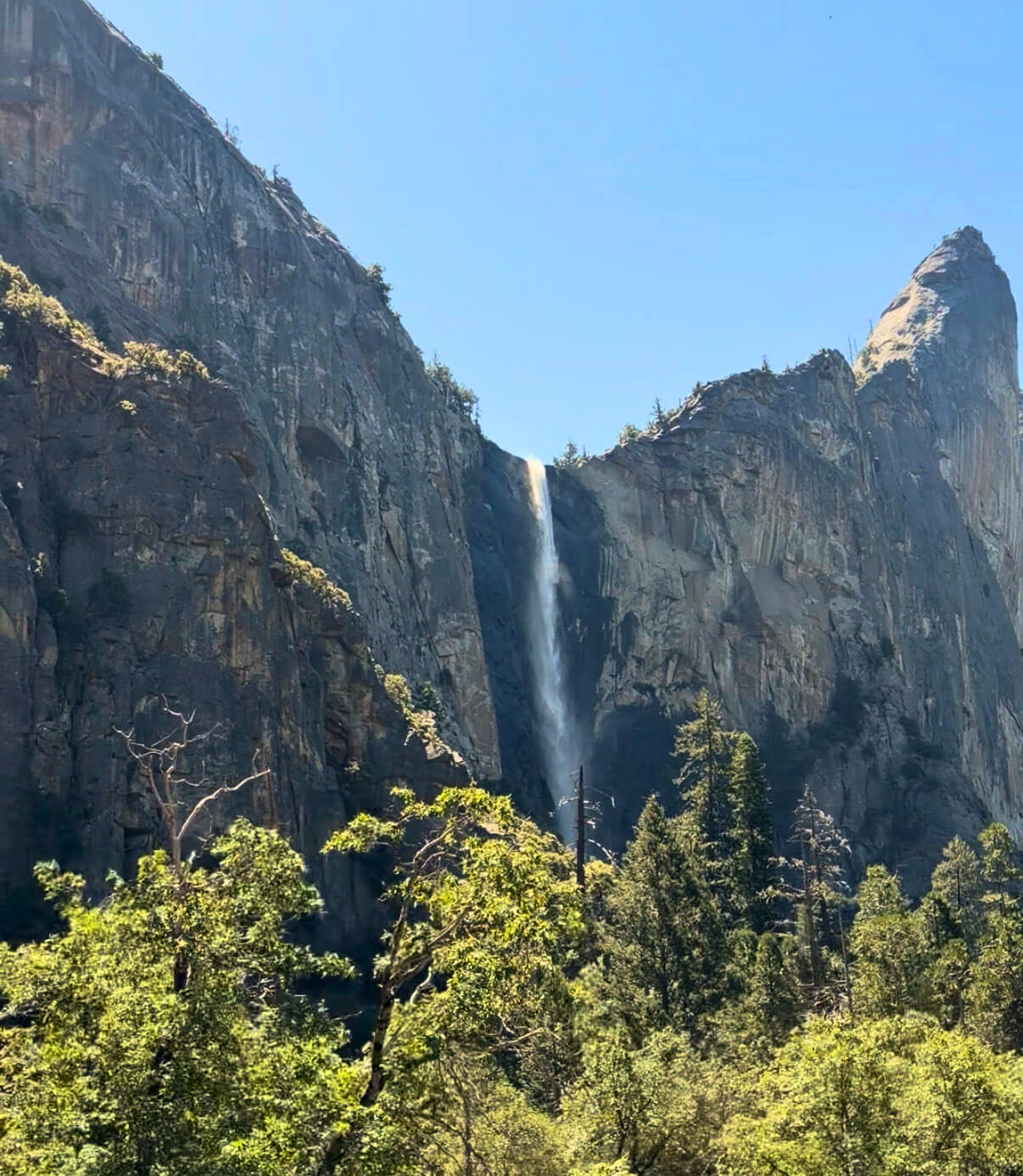 Yosemite Insider Tips: Things to Expect while in the Park Yosemite Insider Tips: Things to Expect while in the Park