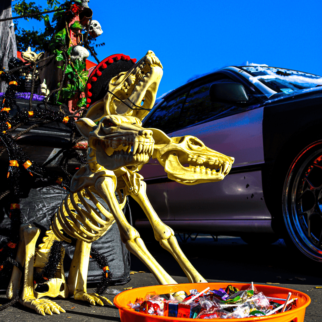 Stanislaus County Fall Guide - Pumpkins, Fall Flavors & Spooky Nights Trunk or Treat at the Graffiti USA Museum