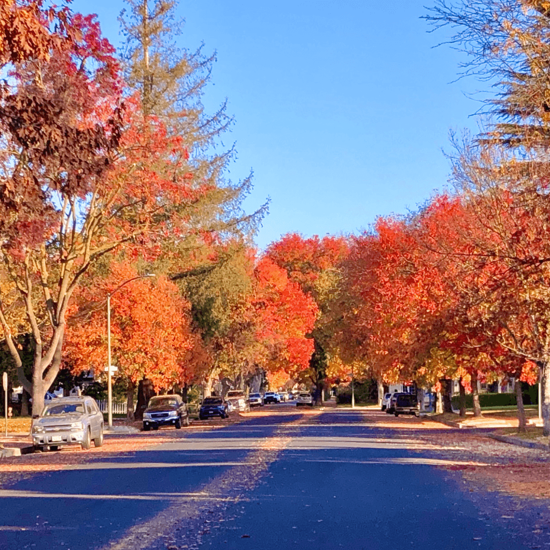 Stanislaus County Fall Guide - Pumpkins, Fall Flavors & Spooky Nights Stanislaus County Fall Guide - Pumpkins, Fall Flavors & Spooky Nights